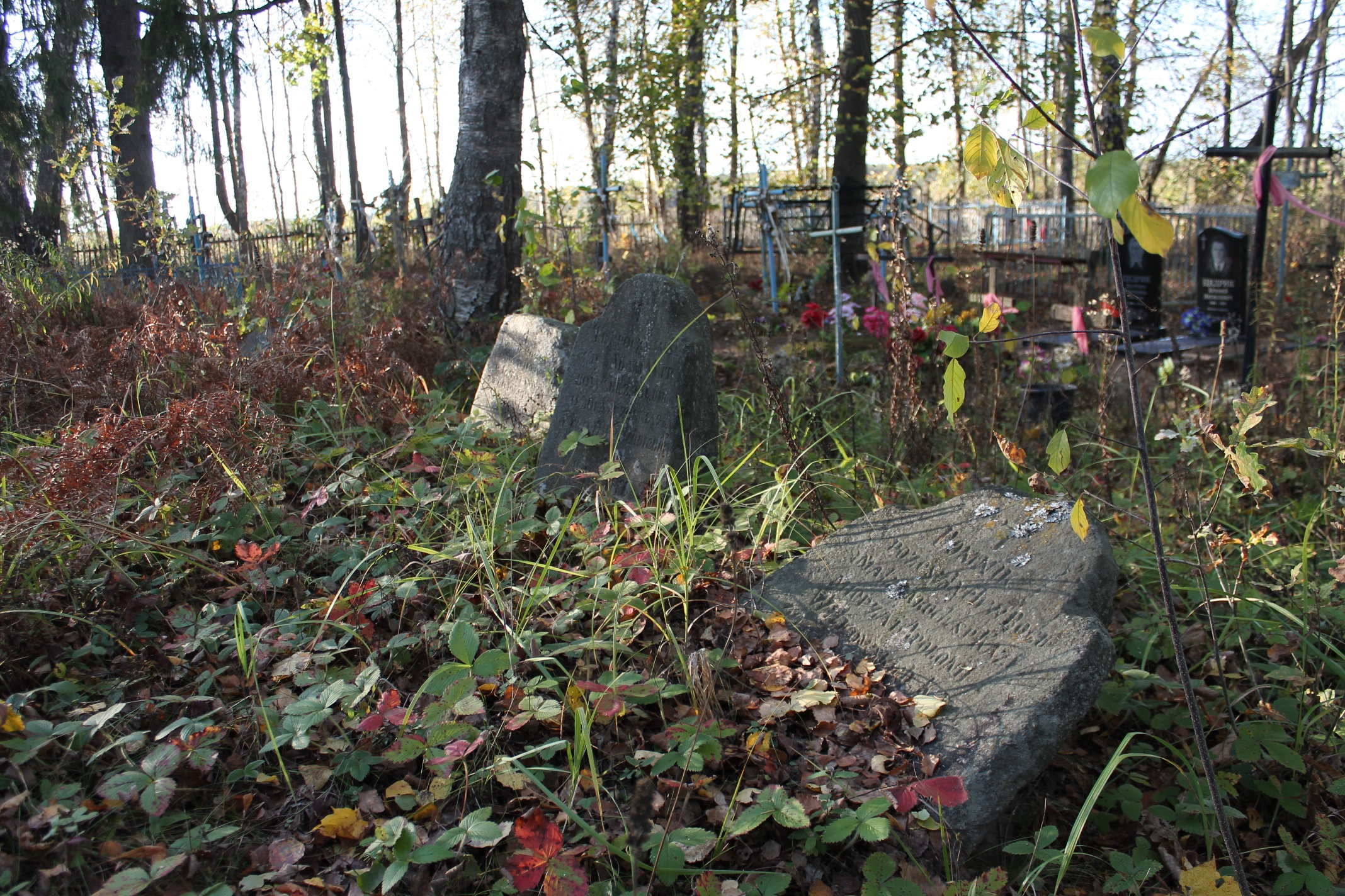 На могілках: помнікі  Copyright by Aljaksej Macesza / Alyaxej Matcesha photos in 2012